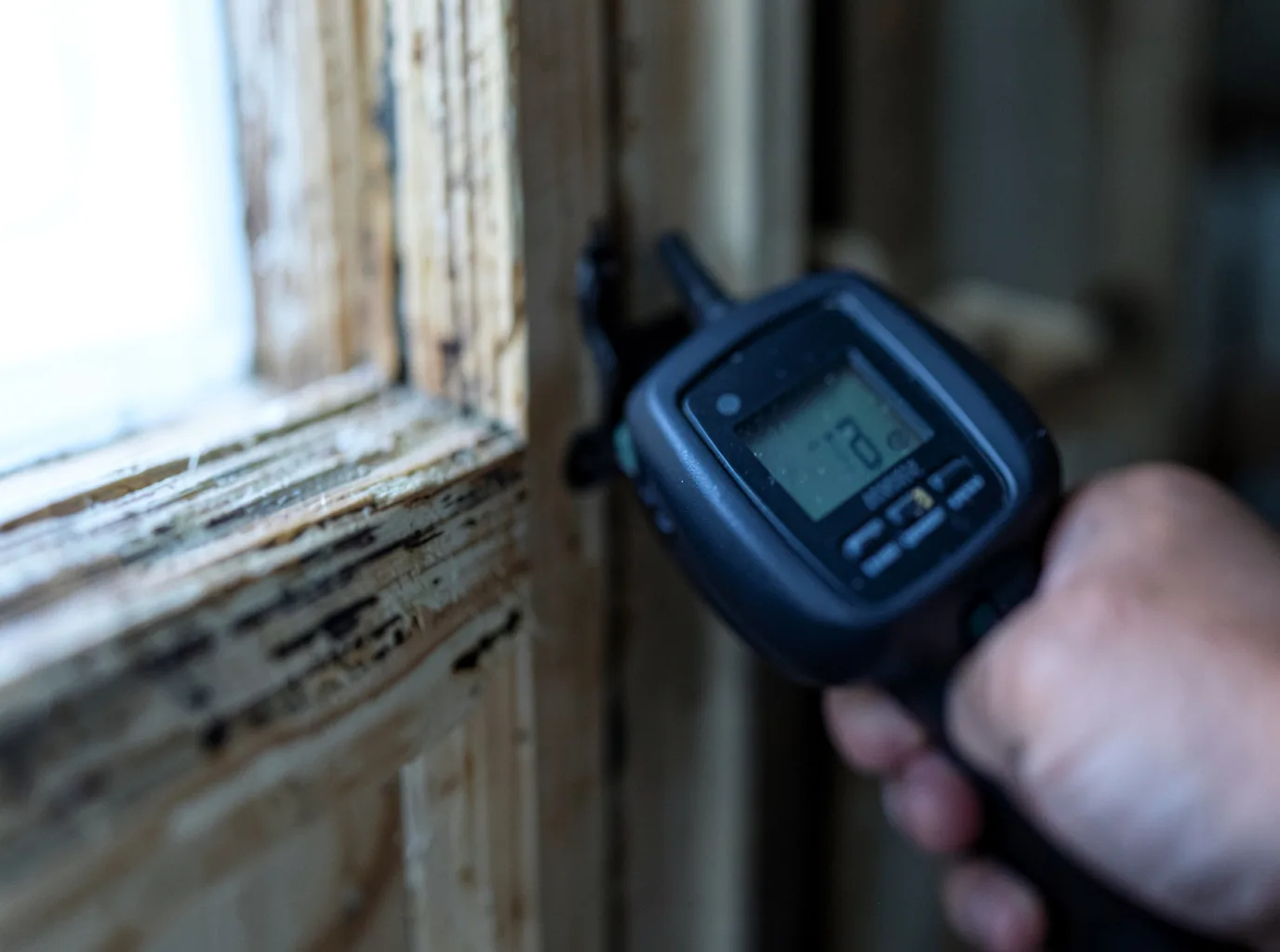 Moisture Inspection And Documentation in Rosebush, MI